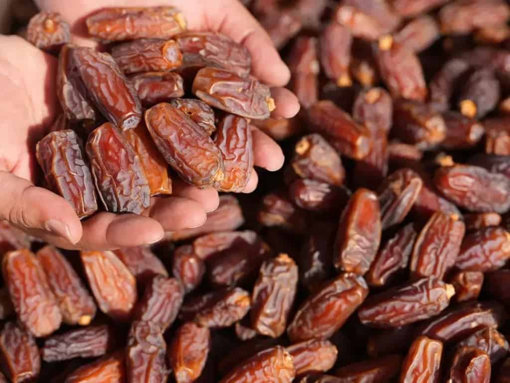 تصویر 3 از خرما پیارم جهرم با بافت نیمه خشک و ظاهر یکدست